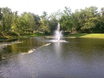 Public Spring - Coral Springs, FL.jpg