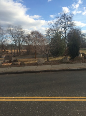 Beaver Pond Park - New Haven, CT.jpg