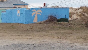 Crab and Palm Tree Art - Norfolk, VA.jpg