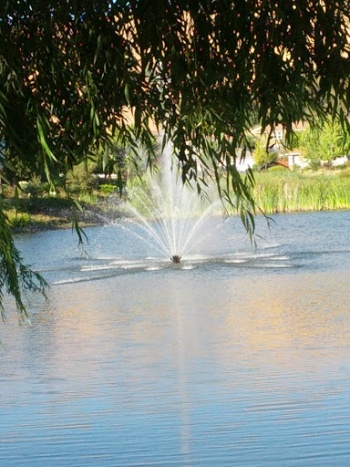 The Cove Fountain - Fairfield, CA.jpg