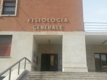 Fisiologia Generale Antropologia E Psicologia Sapienza - Roma, Lazio.jpg