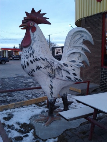 Chicken on the Way - Calgary, AB.jpg