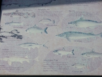 River Front Park Sign - Kansas City, MO.jpg