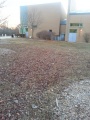 Community Center - Louisville, KY.jpg