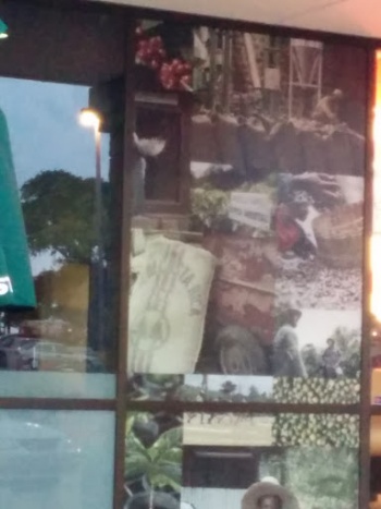 Coffee is the Thing Window Mural - Round Rock, TX.jpg