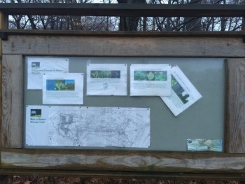 Baker Woods Trail - Darien, CT.jpg