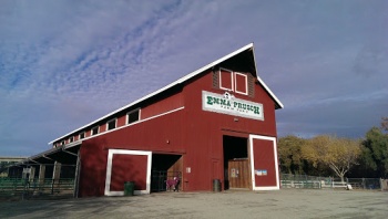Prusch Park Barn - San Jose, CA.jpg