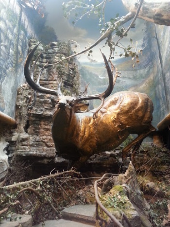 Ultimate Dream Buck - Springfield, MO.jpg