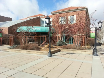 Gainan's Geese Courtyard - Billings, MT.jpg