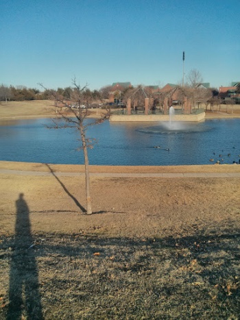 Prairie Meadow Fountain - Plano, TX.jpg