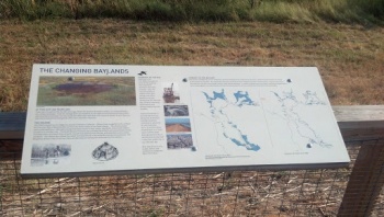 The Changing Baylands - Fremont, CA.jpg