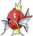 Magikarp.file.jpg