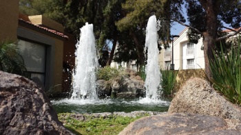 Mission Springs Spring - Tempe, AZ.jpg