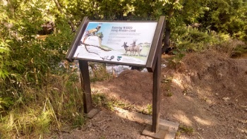 Enjoying Wildlife - Boulder, CO.jpg