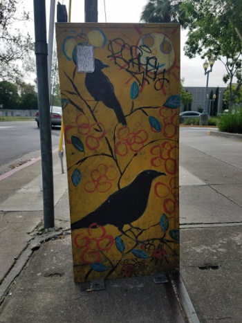 The Ravens Newsstand - Sacramento, CA.jpg