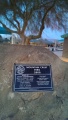 Mountain Crest Park- Colleen Lamuraglia - Las Vegas, NV.jpg