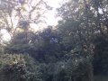 Thumbnail for version as of 15:35, 27 July 2017