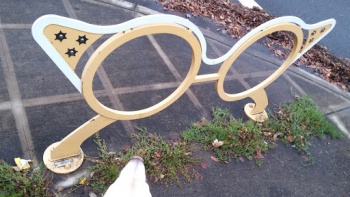 Hollywood Granny Glasses - Portland, OR.jpg