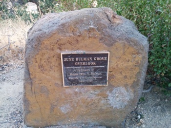 June Bulman Grove Overlook - Concord, CA.jpg