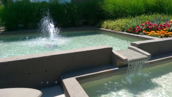 No Koi Here Pond - Greenwood Village, CO.jpg