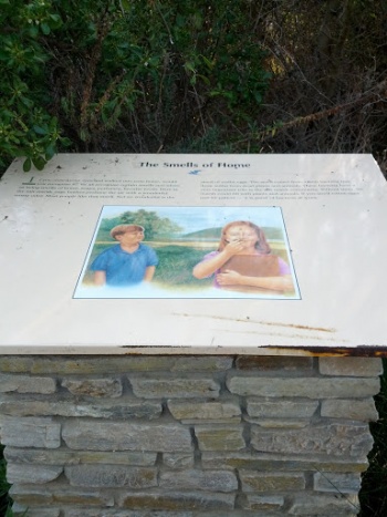 The Smells of Home - Carlsbad, CA.jpg