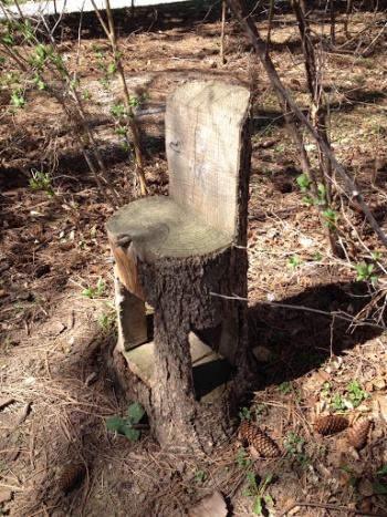 Tree Stump Seat Dineen Park - Milwaukee, WI.jpg