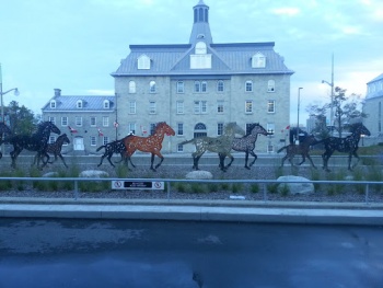 Horse Sculptures - Ottawa, ON.jpg