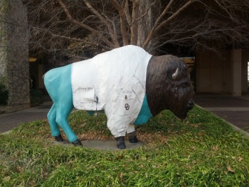 Dr. Dan - Oklahoma City, OK.jpg