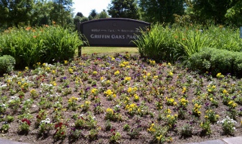 Griffin Oaks Park - Hillsboro, OR.jpg