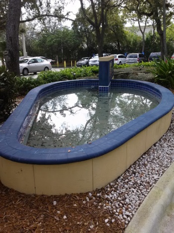 Hilton Fountain - Dania Beach, FL.jpg