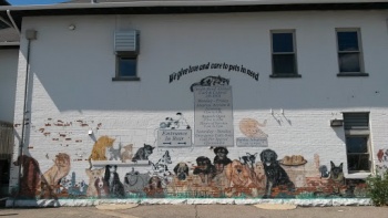 South Bend Animal Care Mural - South Bend, IN.jpg