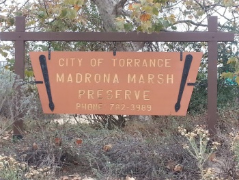 Madrona Marsh Reserve - Torrance, CA.jpg