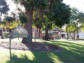 Ivy Park - West Perth, WA.jpg
