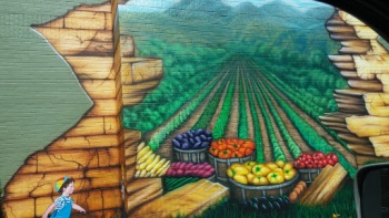Wholesome Grub Mural - Plano, TX.jpg