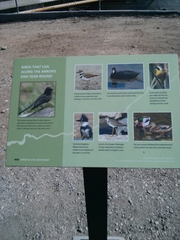 Bike Path Year-Round Birds - Simi Valley, CA.jpg