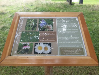 Biodiversity Meadow sign - Salford, England.jpg