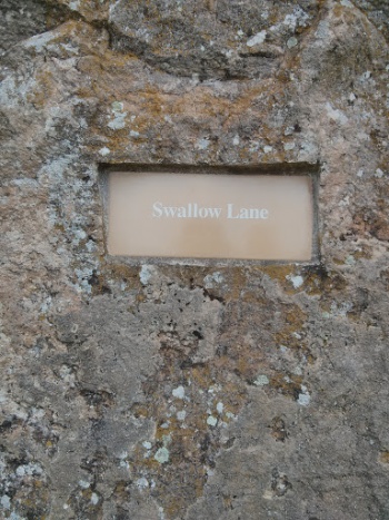 Katheryn Albertson Park - Swallow Lane - Boise, ID.jpg