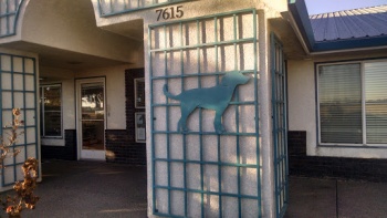 Dog On The Wall - Elk Grove, CA.jpg
