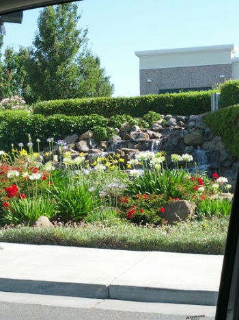 Waterfall Garden - Fairfield, CA.jpg