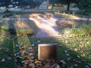 Peace Rose Garden - Tallahassee, FL.jpg
