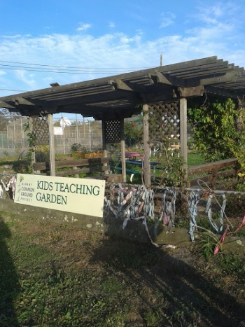 Kids Teaching Garden - Albany, CA.jpg