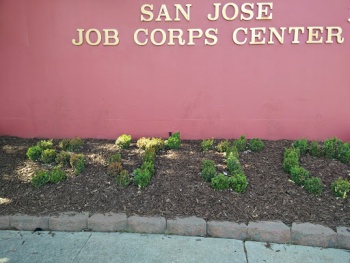 San Jose Job Corps Campus - San Jose, CA.jpg