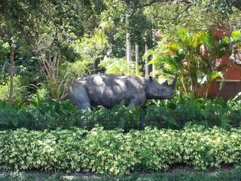 Rhino on Coffee Pot - Saint Petersburg, FL.jpg