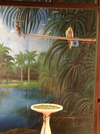 Indoor Bird Sanctuary - Pompano Beach, FL.jpg
