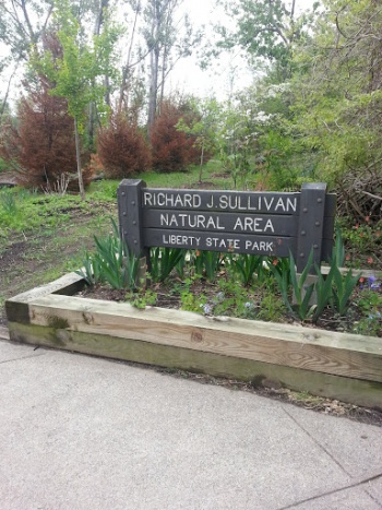 Richard J Sullivan Natural Area - Jersey City, NJ.jpg