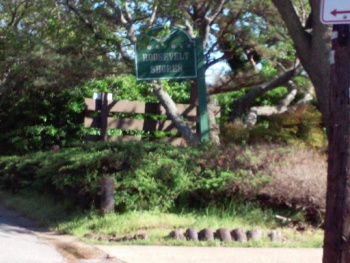 Rosevelt Shores - Norfolk, VA.jpg