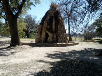 San Pedro Park Weird Building - San Antonio, TX.jpg
