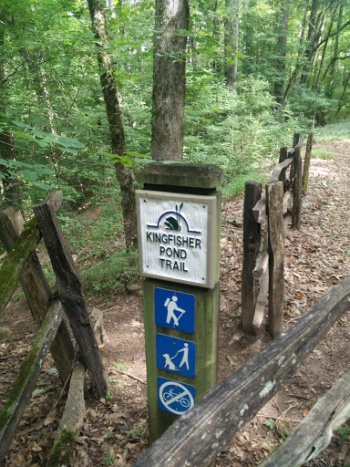 Kingfisher Pond Trail - Athens, GA.jpg