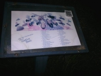 Native Bees Structure - Arlington, TX.jpg