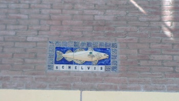 Schelvis - Amsterdam, NH.jpg